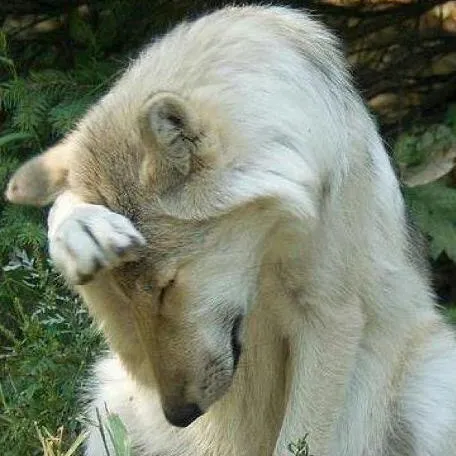 xriverwolf