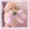 @j3ss.arf