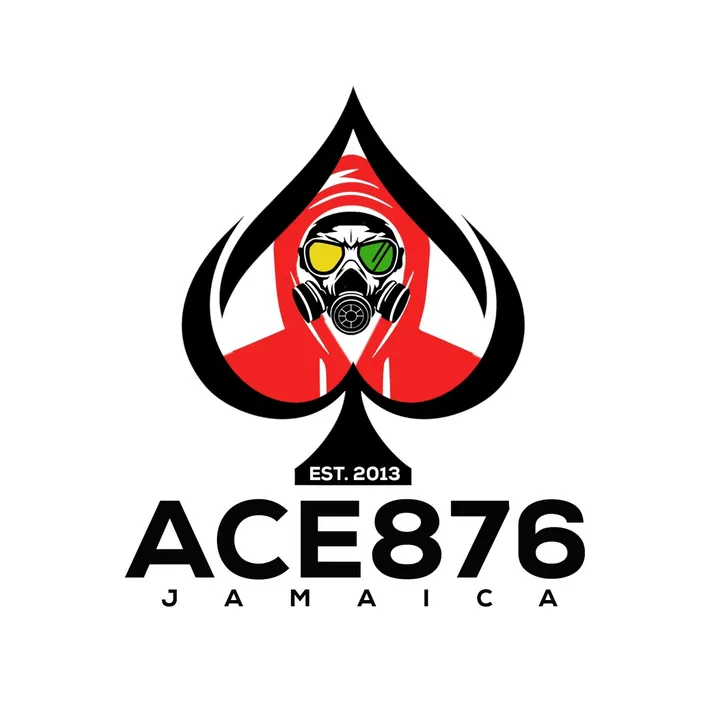 ace876media.ent1
