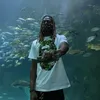 btdaflames