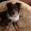 ruby09640