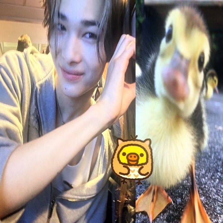 ilobeesunghoon