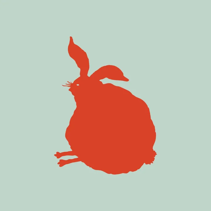 fatrabbit