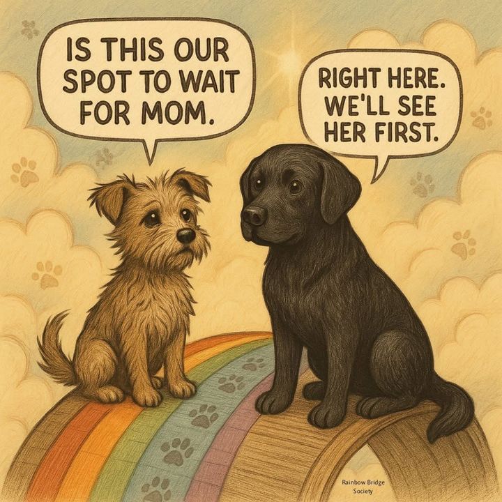 petslovers521