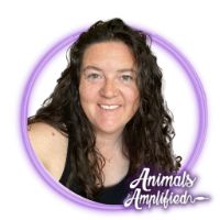 animalsamplified