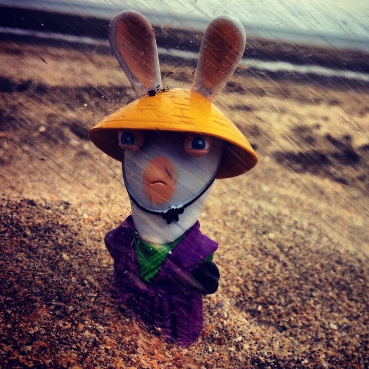rabbidsaremyfavorite
