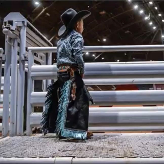 hazereedtheminibullrider