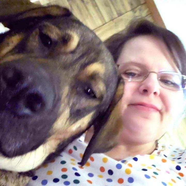 auntietiktoks