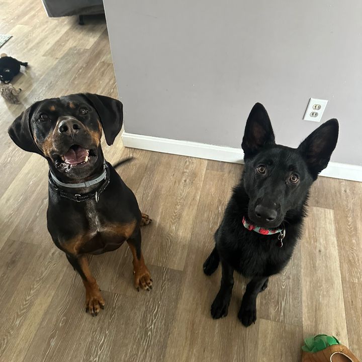 kobetherescue