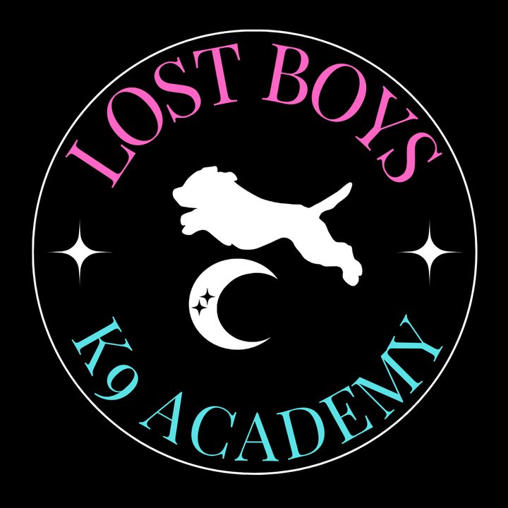 lostboysk9academy