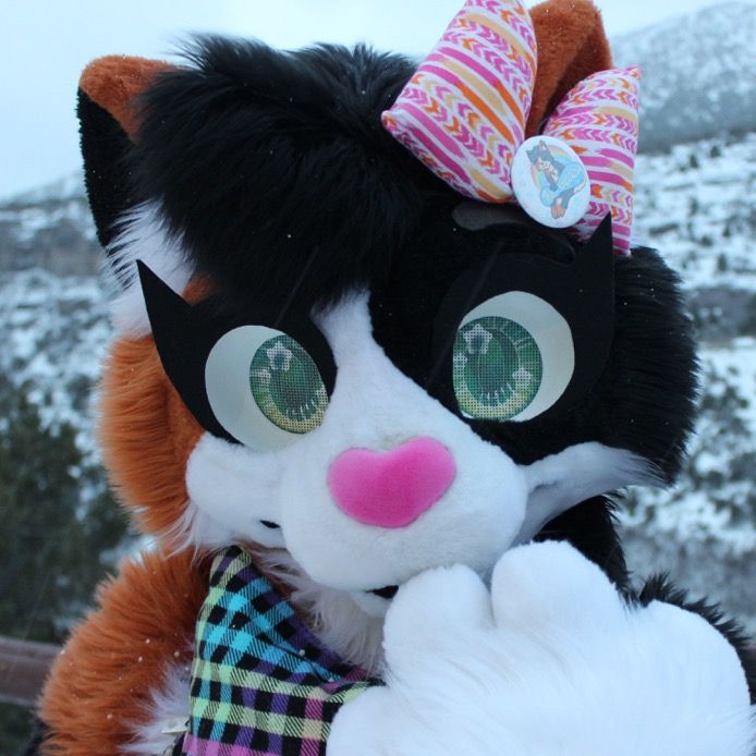felixthecalico