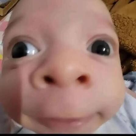 chocobae82