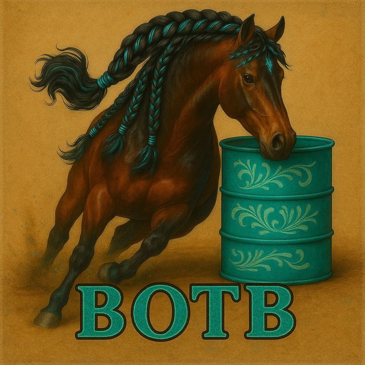 braidsonthebarrel