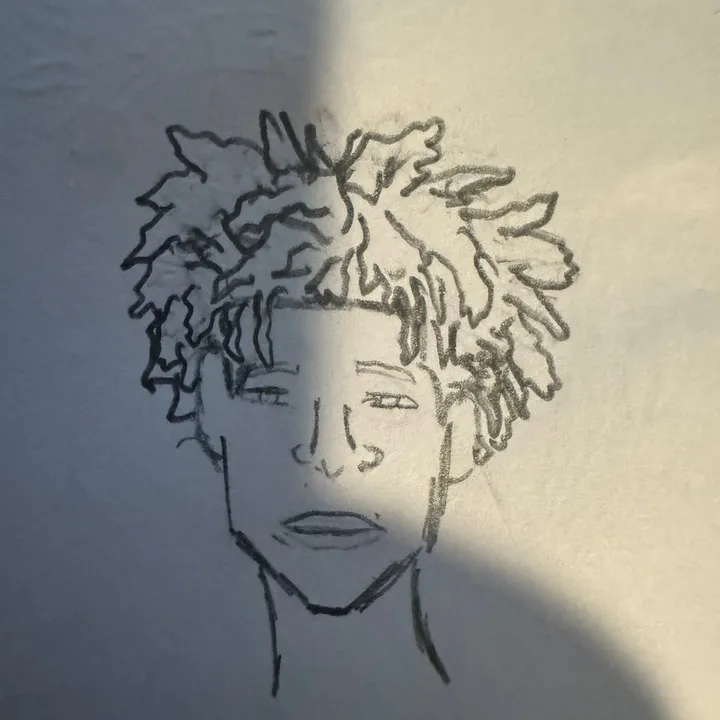 hairjourneydrawer