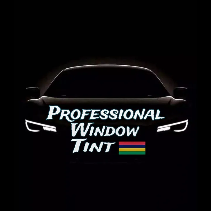 @professional_window_tint