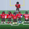 buccs_uf