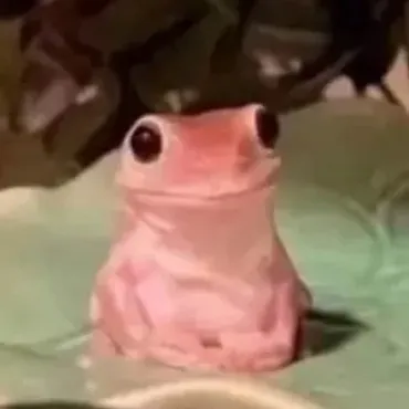 pissinator5000