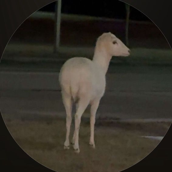 thuhrealslimkatie