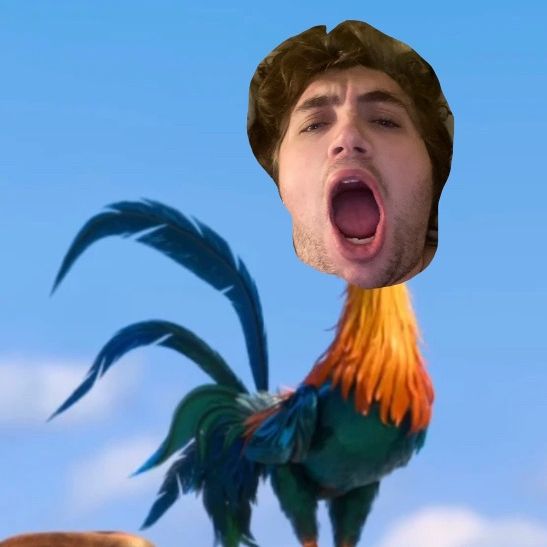 chickenbacon93