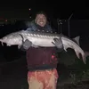 justfishnn510