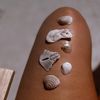 shellsandsunsets