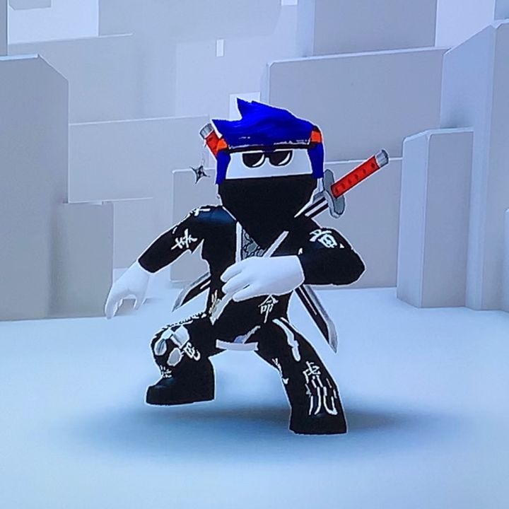 v4nhel5ing_roblox