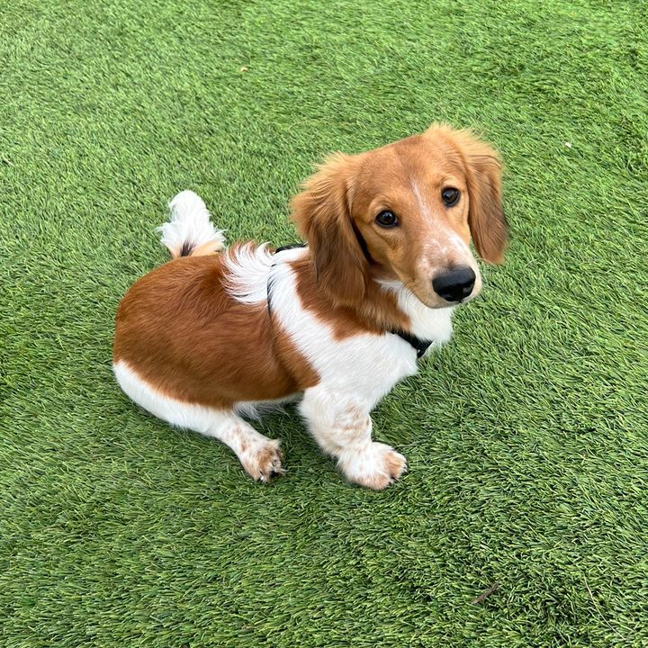 theweencharlie