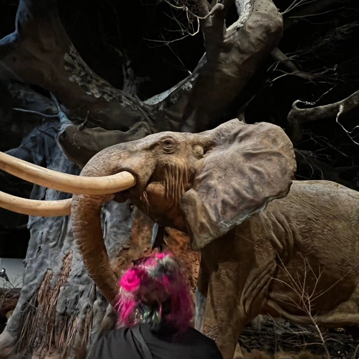 mandavongoyle
