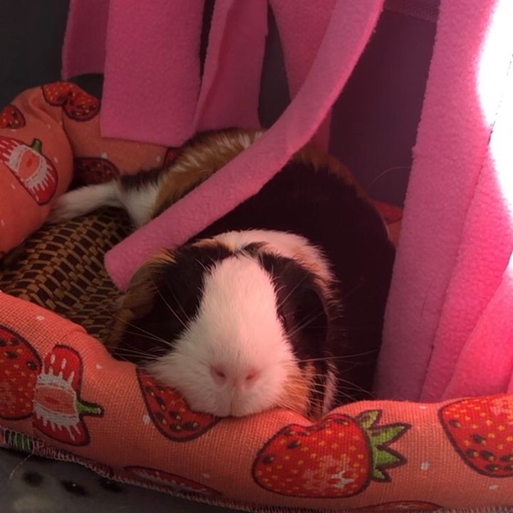 winkiiluvv