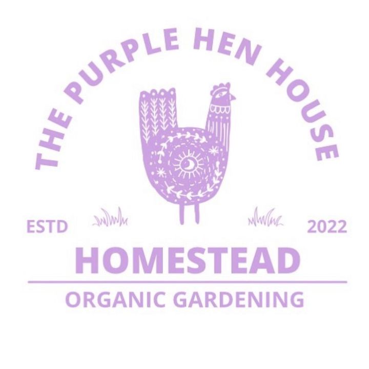 the.purplehenhouse