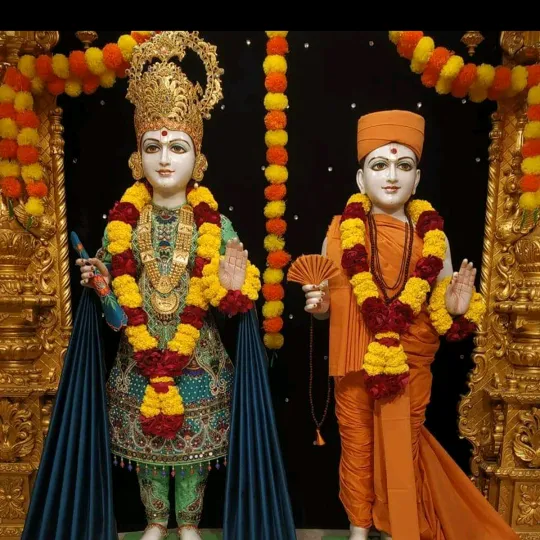 bijalpatel4985