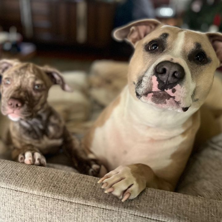 @quincy.and.clover