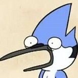 thesuitedbird