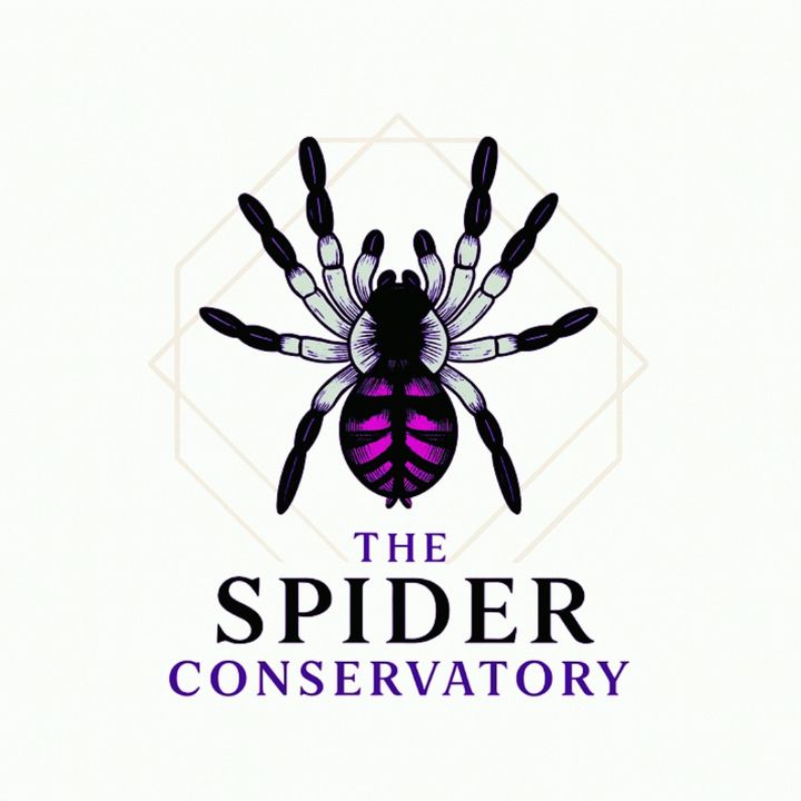 thespiderconservatory