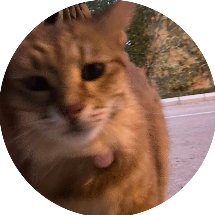 bodyodyody_