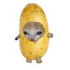 1.spudster