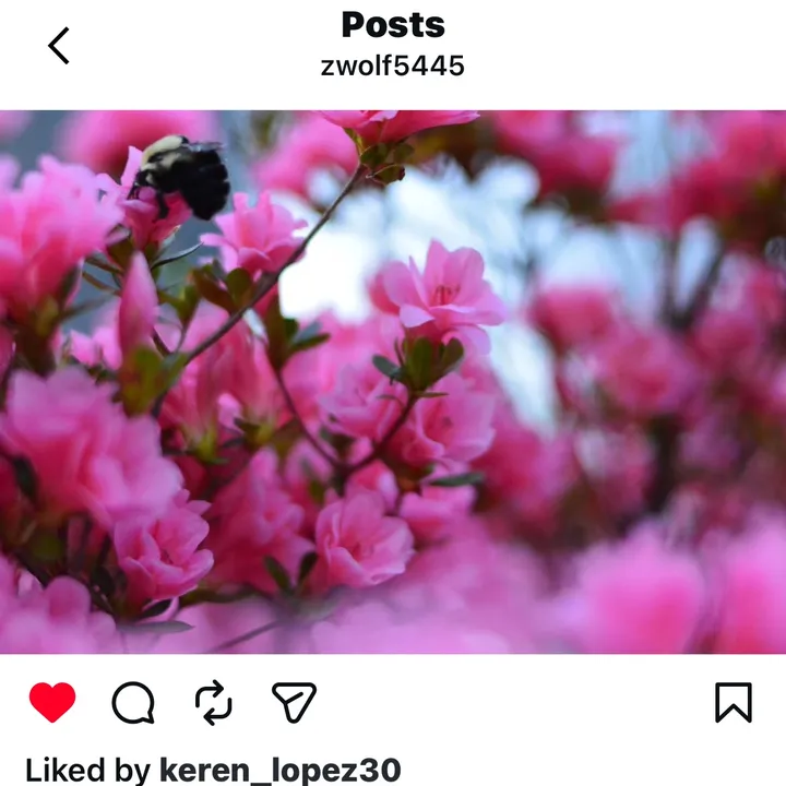 vonilasmirna2689