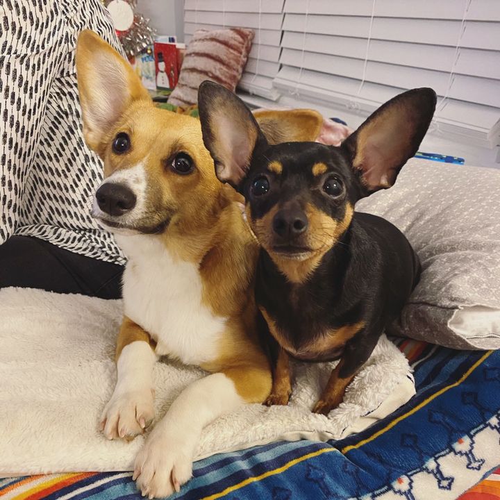 reggieandbagels