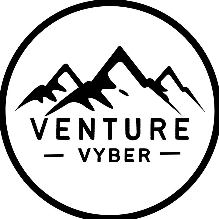 venturevyber