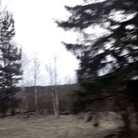 waithate_88