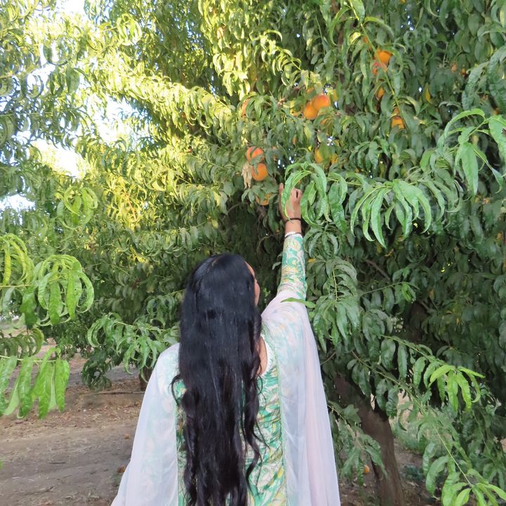 k.khushi.g