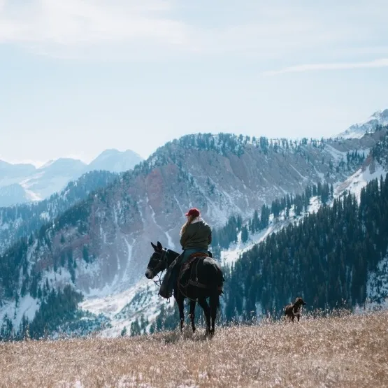 wild.horsewoman