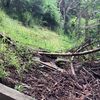 urbex.norcal1