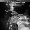 sarah.linno0