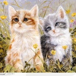 ilike.funnycats.93