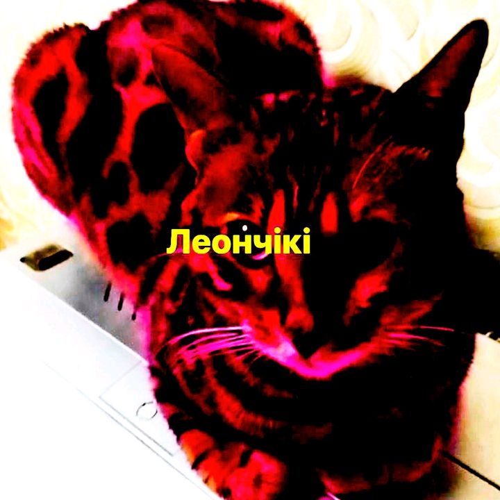 s0wor