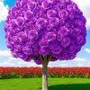 loada.ousmane2