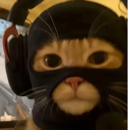 vixyhd1