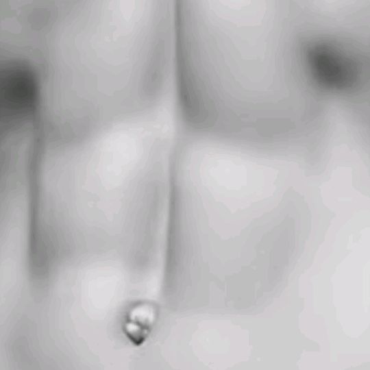 studiowaddeten