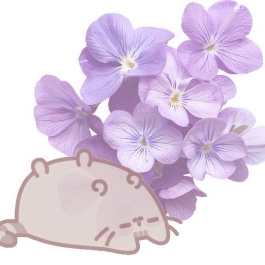 emily.flower20